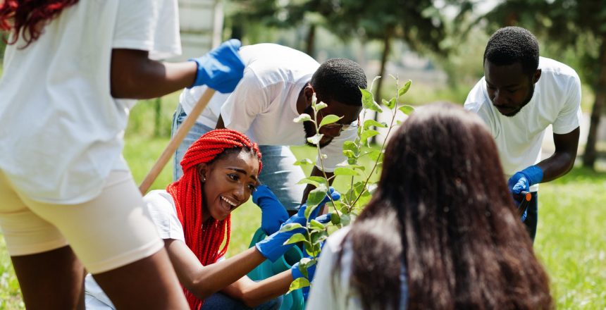 Group of happy african volunteers planting tree in park. Africa volunteering, charity, people and ecology concept.